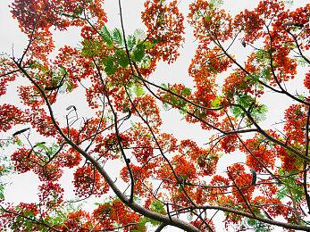 《雷纳提斯》曝光新预告 新预告5月9日发布